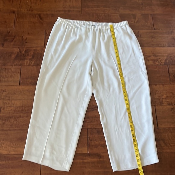 Eileen Fisher Silk Georgette Crepe Cropped Pant Size L - Picture 6 of 13